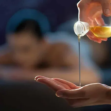 Hotel Pozzo Di Borgo 4*