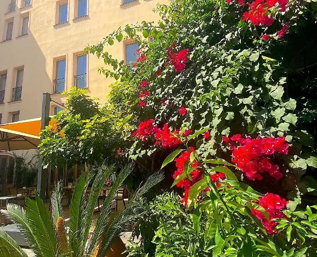 호텔 Pozzo Di Borgo 아작시오